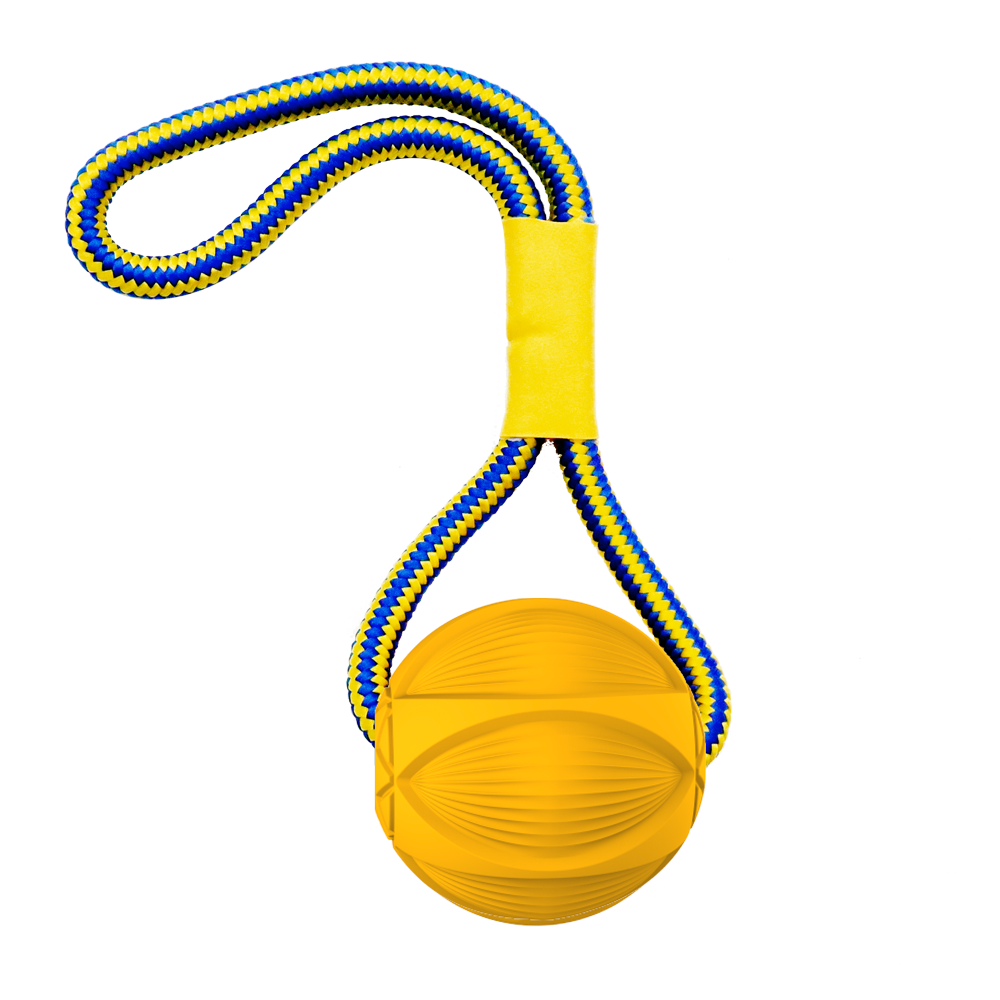 Interactive Ball Toy for Dogs