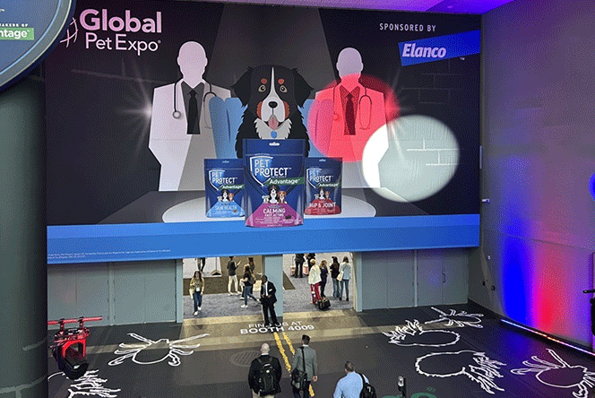 Lead Fair× Qupet Earns Global Buyer Recognition at Global Pet Expo 2025